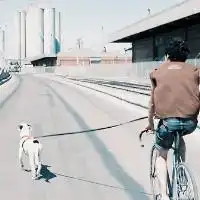 暗黑头像男冷血真人不露