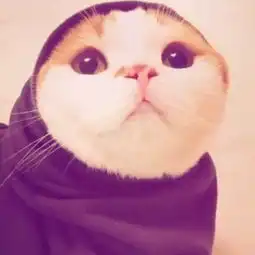 哈喽哈hello的美拍
