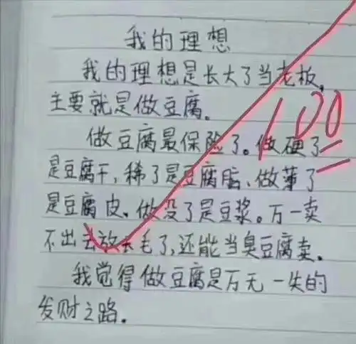 小学生作文写理想,真奇葩,但字迹清秀,老师也相当羡慕
