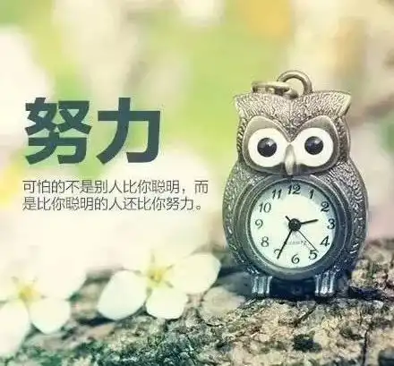 早安心语正能量鼓励语早安语录励志分享

