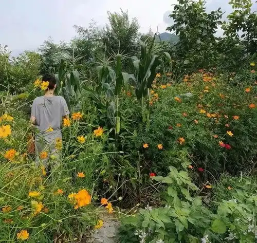 长胖两圈却被所有女生羡慕,她是头一个吧
