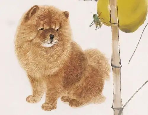 从五月开始,3大生肖不再愁眉苦脸,日日笑逐言开,好运全在
