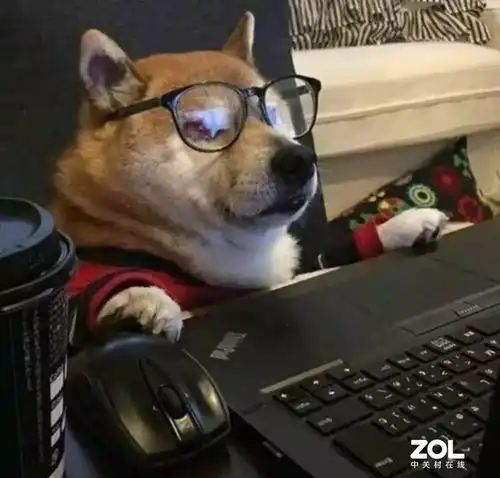 笔记本的硬件防蓝光到底是什么真的管用吗
