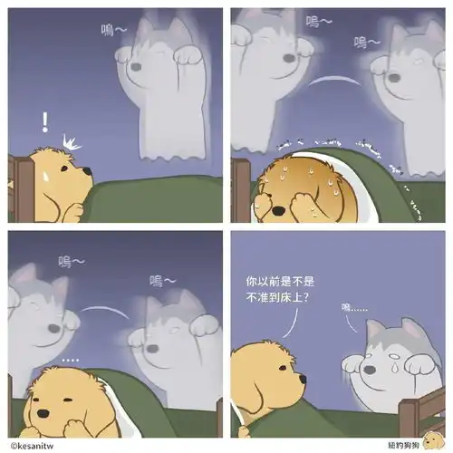 漫画版猫猫狗狗的日常,是怎么做到每一张都又萌又有梗的
