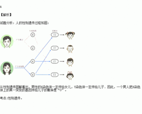 一个男子把x染色体上的某一突变基因传给儿子的概率是
