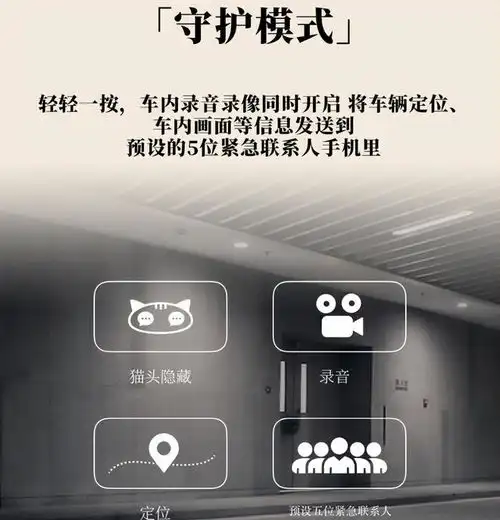 定价20万和男性格格不入的芭蕾猫,是准备和我一刀两断吗
