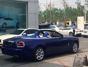 王思聪买豪车像买菜当场刷卡开走劳斯莱斯
