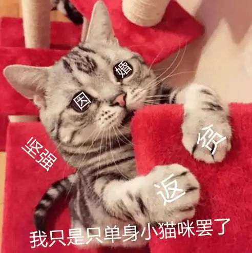 假期要吃23场婚宴可怕镇江新区人国庆8天全在赶人情
