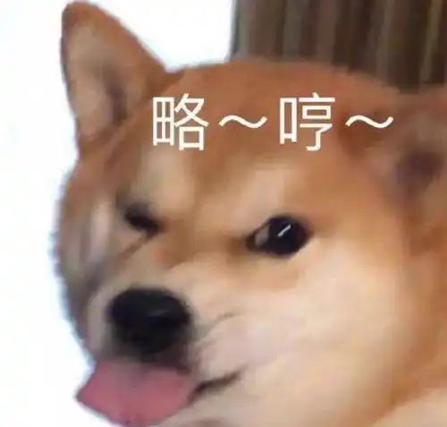 e句话离婚也有搭子了
