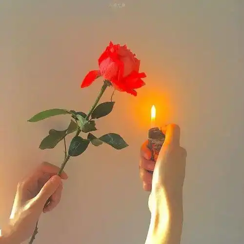 朋友圈治愈情话之201027
