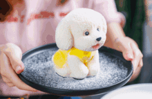 新晋流量ins风口红小奶狗直击少女心还有男生挚爱的路飞同款
