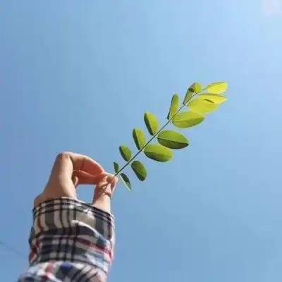 迎接六月第一天的文案
