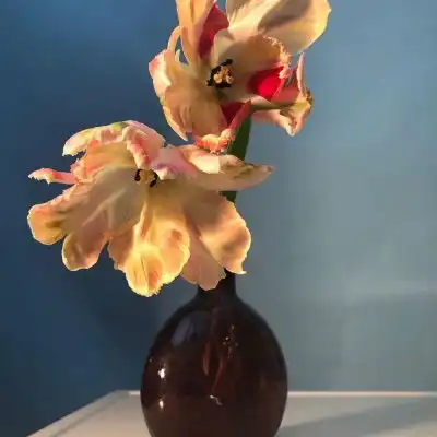 花朵头像唯美图片女性中年人微信头像首选
