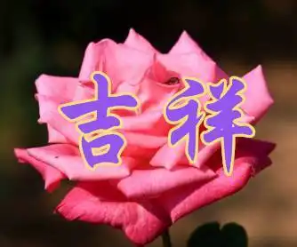 今天是男人节,打开看看,送给天下所有的男人,你们辛苦了
