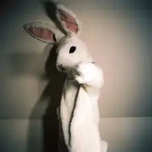 我是想成仙的人
