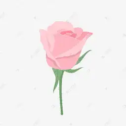 手绘矢量卡通小清新日系七夕节情人节玫瑰花素材图片免费下载高清psd千库网图片编号11033842

