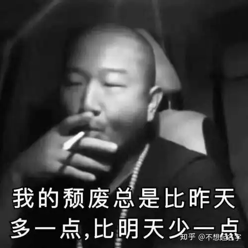 有哪些沙雕的微信头像
