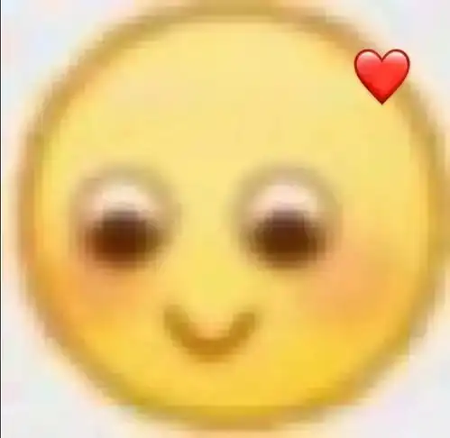 求十一年前看过的一个古早言情小说,谢谢大家