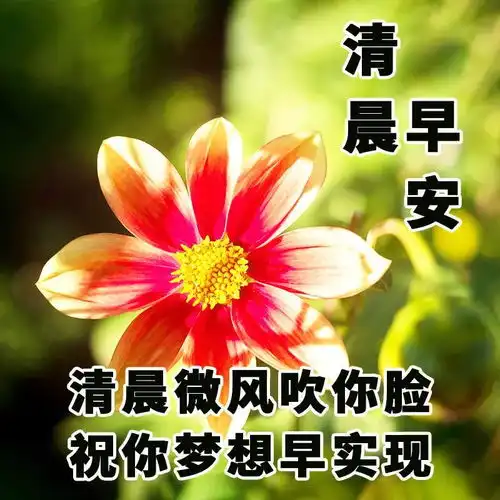 周四群发温馨的早上好问候语,早安语录正能量句子,愿周四安康
