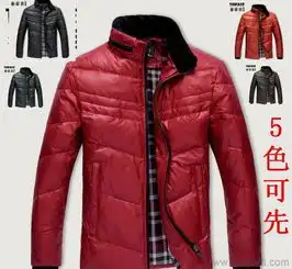 2013秋冬新品男装韩版多色白鸭绒男士羽绒服精品外套厂家直销价格厂家图片
