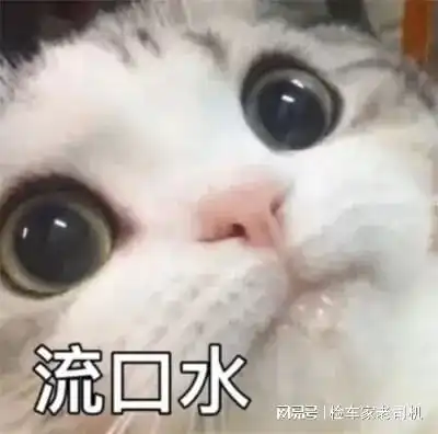 这辆美女一手捷豹,让我见识到了什么是离谱,直呼这也行
