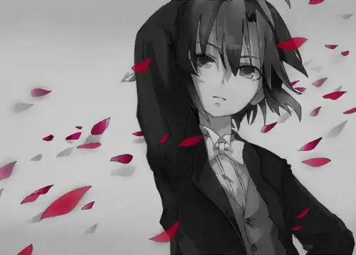 qq皮肤动漫男生
