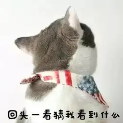 马上要开学啦,暑假作业写完了吗
