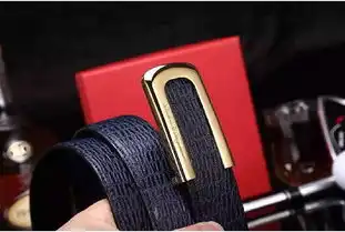 2015拉菲格慕专柜款爆款板扣男装皮带原版进口牛皮男士腰带时尚百搭男士皮带
