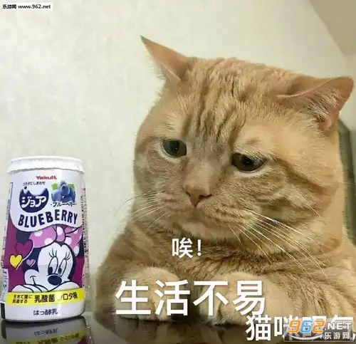 我突然烦你了拜拜的图片表情包你好请配合我的工作表情包下载乐游网游戏下载
