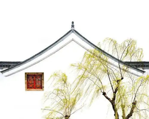 作家美文杨奇金随心随性随缘而感
