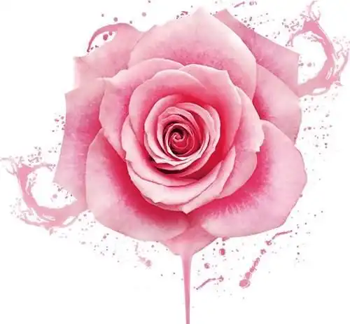 做人坦率有话直说3生肖易得罪人,却跟贵人很有缘
