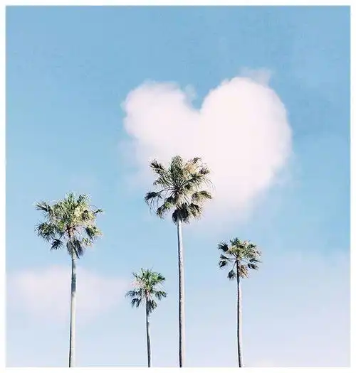 振奋人心的短句,阳光向上,读完让人元气满满
