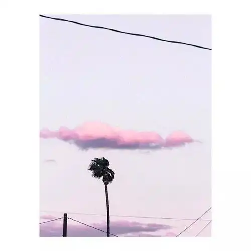 既然没有如愿
