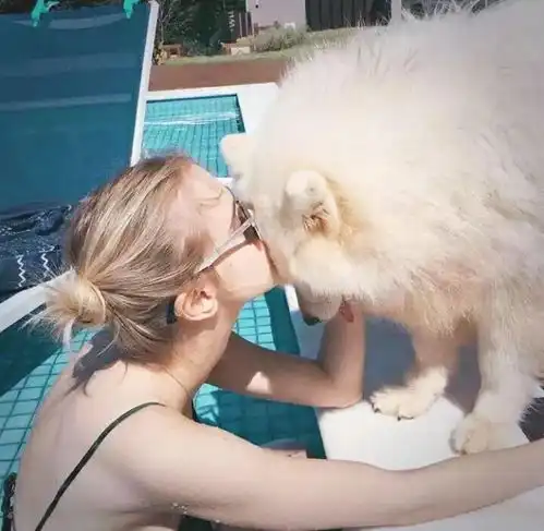 超多个性欧美头像图集
