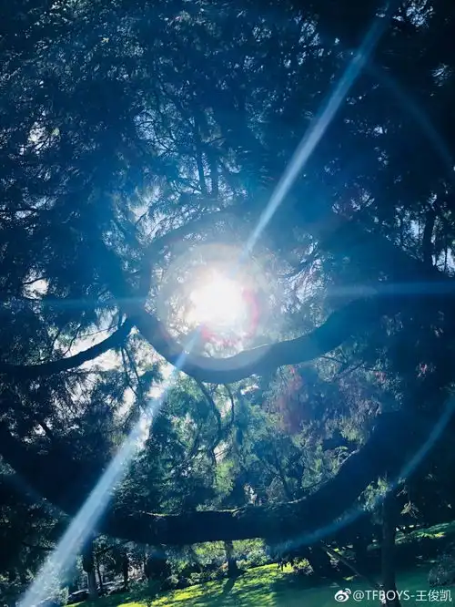 王俊凯我眼中的世界合集清澈少年带你领略世间风景