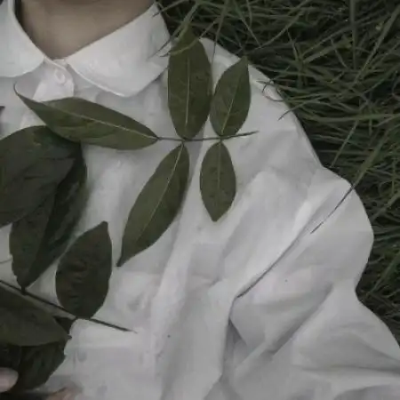 小清新文艺男头一缕阳光把梦想照亮
