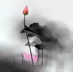 佛说这一世所有的相遇,都是上一世的久别重逢
