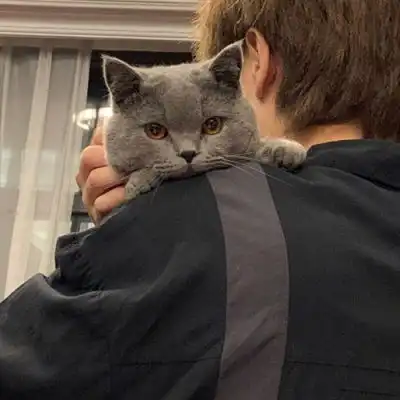 ins小清新文艺范男头你眼里不只男生头像我要个性网
