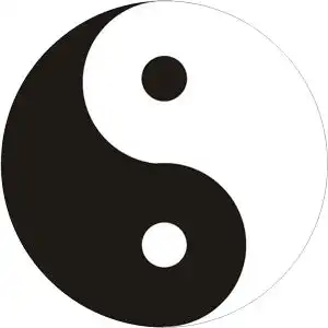 别墅装修运用简约黑白色感受独特魅力
