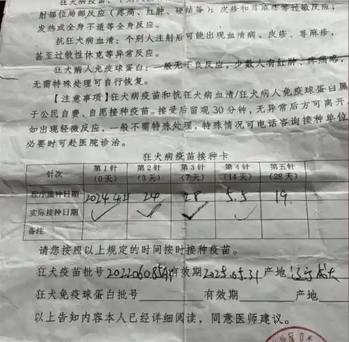 3岁男童被狗咬伤打了疫苗仍离世,农村狗患不能再被忽视了
