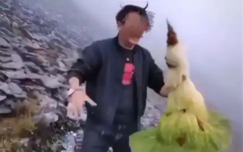 2019年,男子随手摘了一棵白菜,结果被罚款20000元
