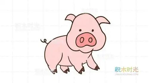 猪简笔画,学绘画同时学知识
