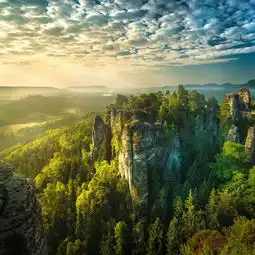 写在今年的父亲节
