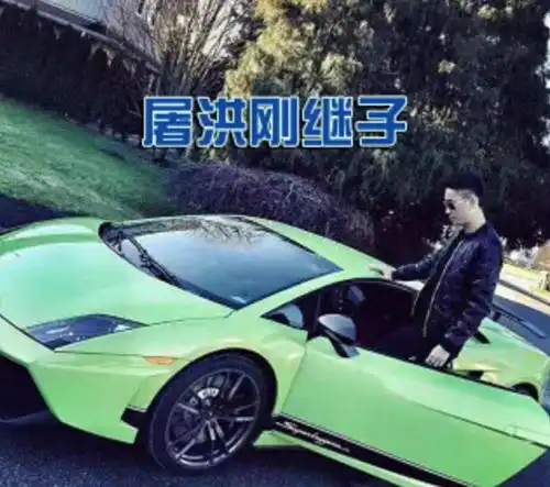 同父不同命屠洪刚前妻去世后,继子和亲儿子天差地别
