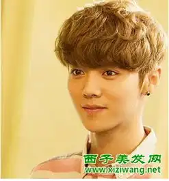 韩式男短发烫发发型绝对阳光帅气
