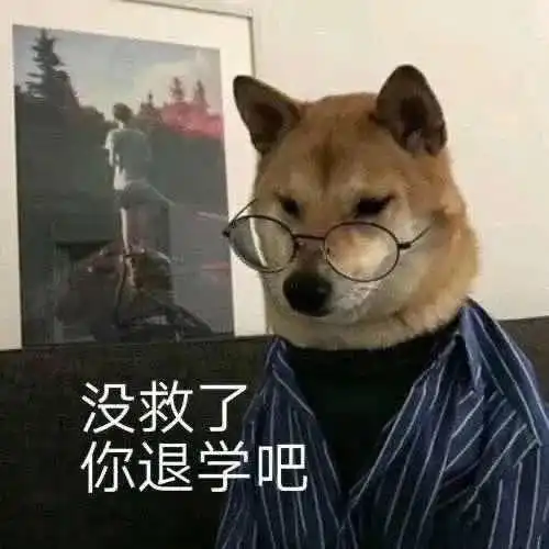 论一个大学生上网课的自我修养
