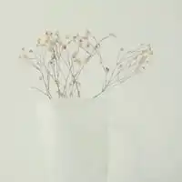 短发手捧满天星女孩图片微信头像图片大全
