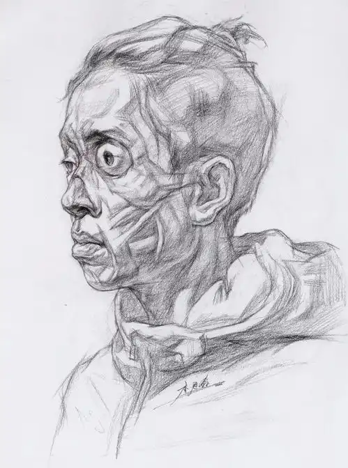 送你百张高清素描结构图,联考前再拉你一把
