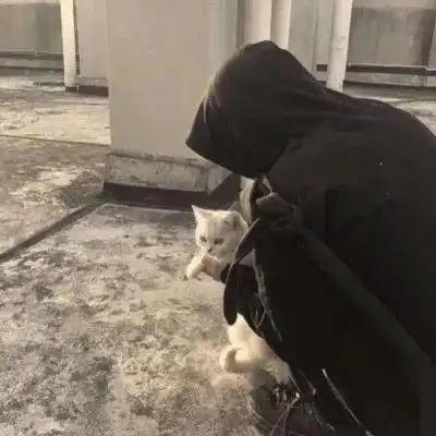 每日头像
