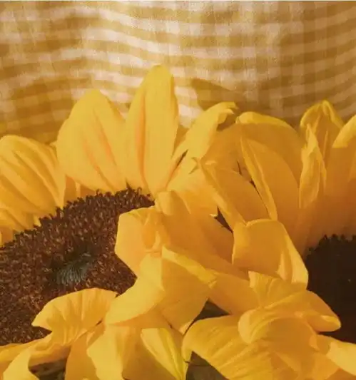 孤独是暂时,总会有人来治愈你,温暖你,让你觉得人间值得腾讯新闻
